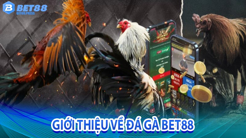 Giới thiệu về đá gà trực tuyến bet88