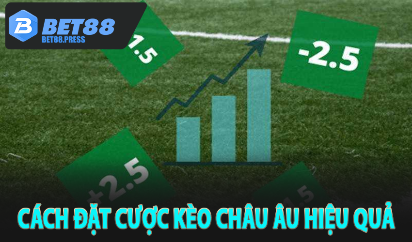 Cách đặt cược của kèo châu âu